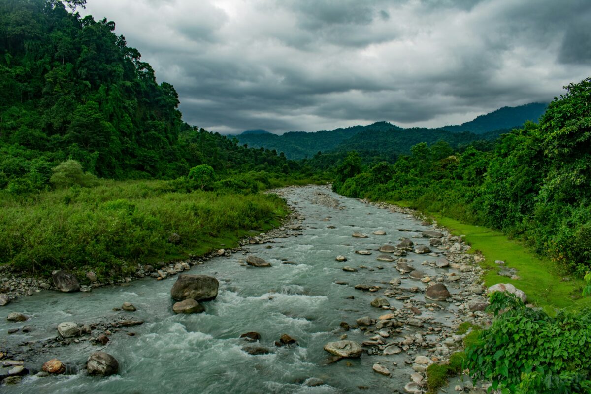 Grand Forest View Resort, Dooars
